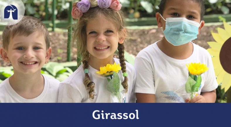 Girassol